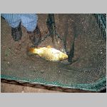 Majdalena 25.6.2008 -39.JPG